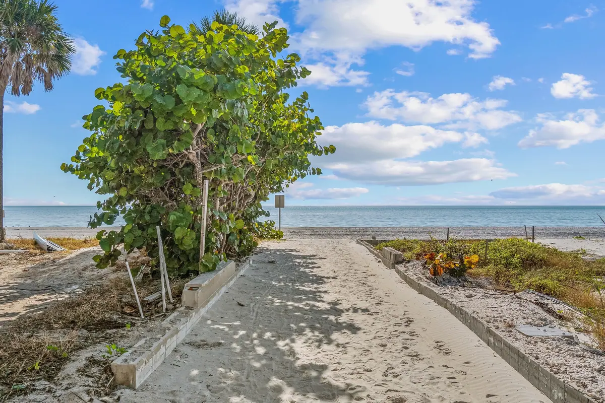 Sandy path opening between sea grape trees onto the wide Gulf beach.